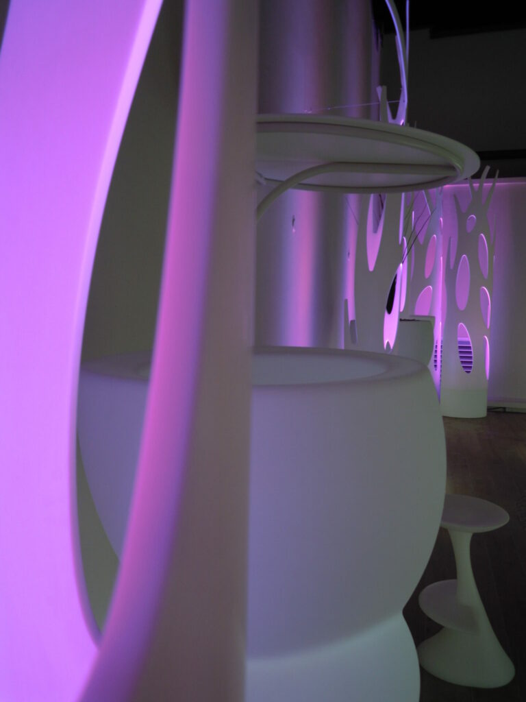 DSCN8202